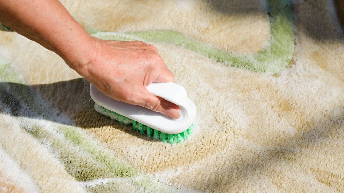 Stain Removal Techniques for Common Messes